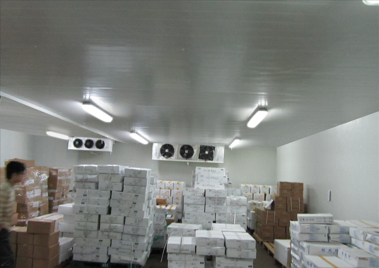 Cold Room For Fish